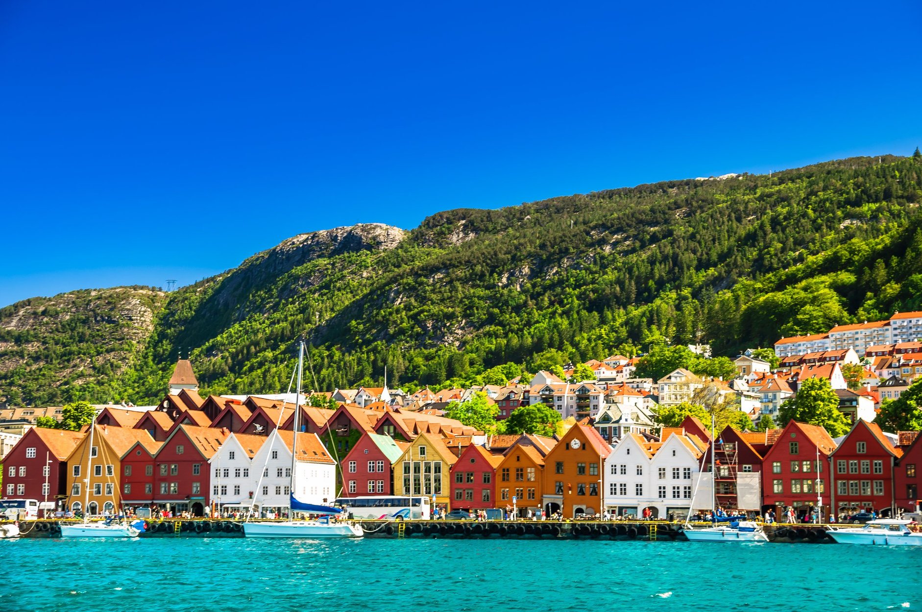 Bergen harbour